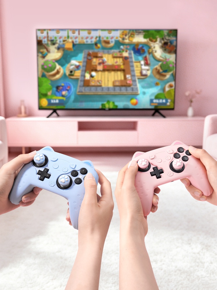 เคสซิลิโคนแบบดั้งเดิมสำหรับสวิ - Gaming Accessories In Japan บทวิจารณ์และราคา
